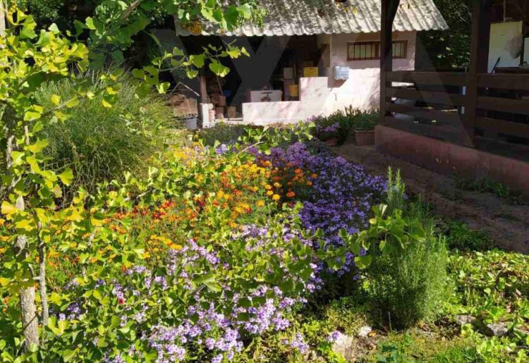 Boljevac - Jablanica , vikendica za uživanje 50m2 na parceli površine  1022m2