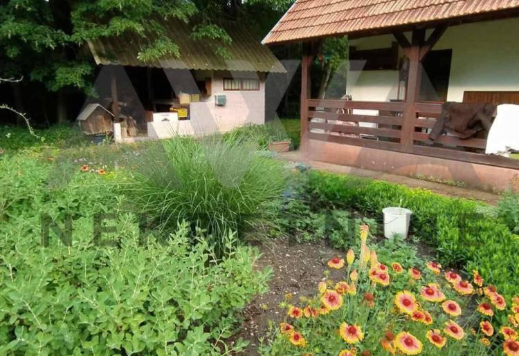 Boljevac - Jablanica , vikendica za uživanje 50m2 na parceli površine  1022m2