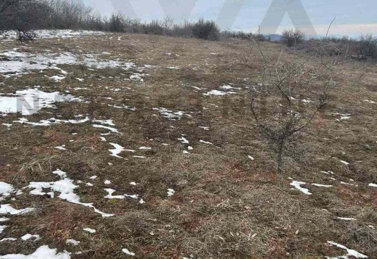 Boljevac - Bačevica,  poljoprivredno zemljište površine  oko 10ha 