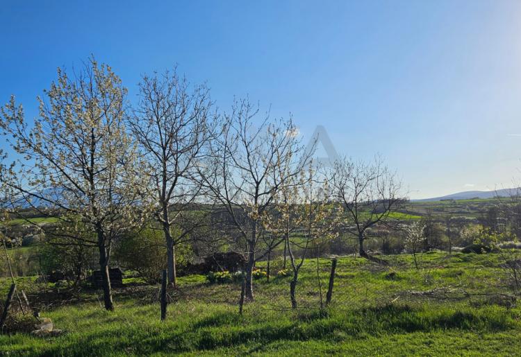 Boljevac - selo Podgorac , poljoprivredno zemljište u komadu površine 17338m2
