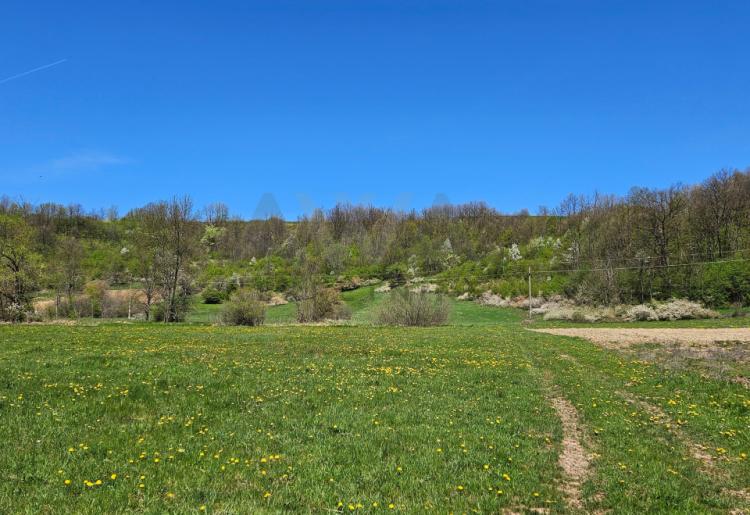 Boljevac - Lukovo , stara koliba površine 56m2 sa oko 6ha zemlje u komadu 