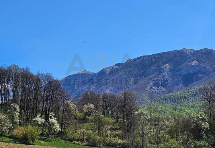 Boljevac - Lukovo , stara koliba površine 56m2 sa oko 6ha zemlje u komadu 