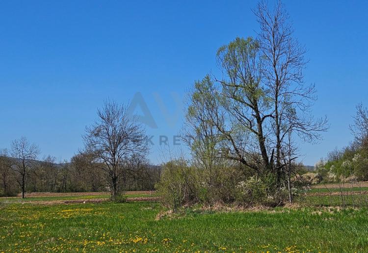 Boljevac - Lukovo , stara koliba površine 56m2 sa oko 6ha zemlje u komadu 
