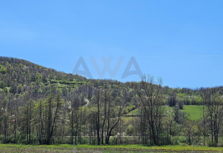 Boljevac - Lukovo , stara koliba površine 56m2 sa oko 6ha zemlje u komadu 