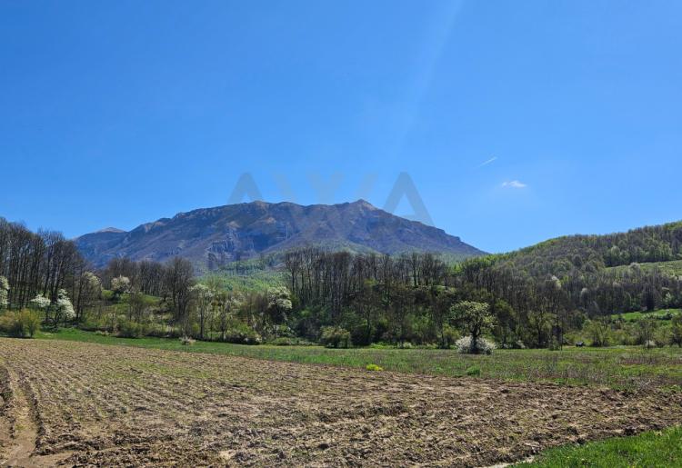 Boljevac - Lukovo , stara koliba površine 56m2 sa oko 6ha zemlje u komadu 