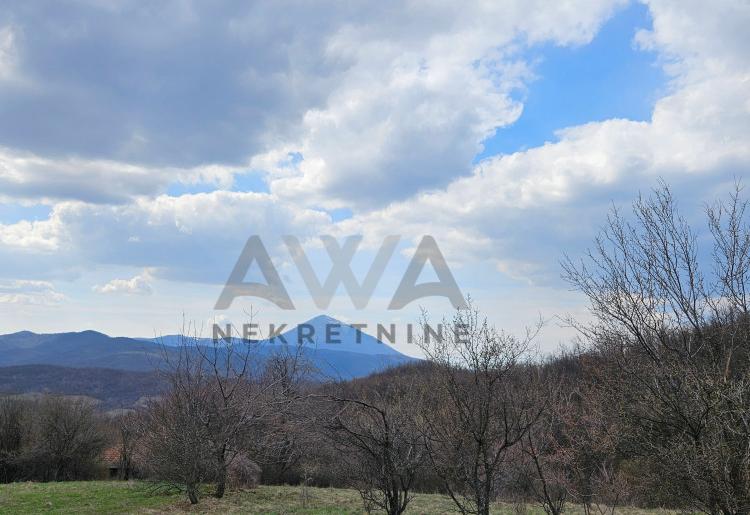 Boljevac - Dobro Polje ,poljoprivredno i šumsko zemljište - 60.270m2