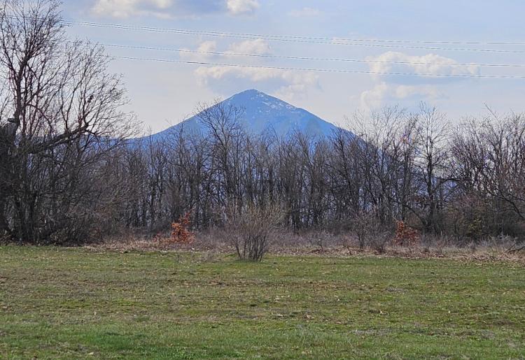 Boljevac - Dobro Polje ,poljoprivredno i šumsko zemljište - 60.270m2