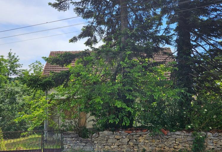 Boljevac - Krivi  Vir , kuća 35m2 na placu od oko 4ari
