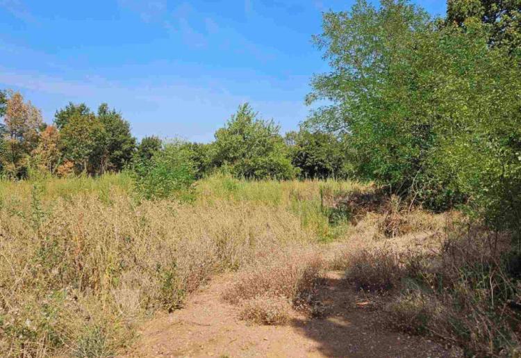 Mirovo- samo podnozje Rtanj planine