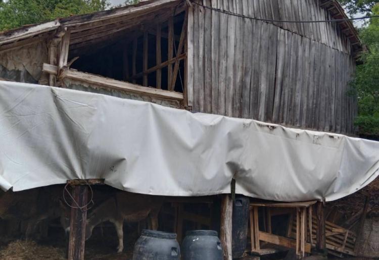 Krivi Vir-Rtanj,mesto koje ne treba zaobici na putu do Rtnja Domacinstvo+ 17ha zemljista