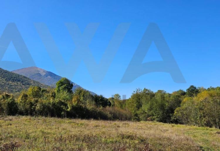 Ilino - Rtanj Poljoprivredno zemljiste u samom podnozju planine 14378m2
