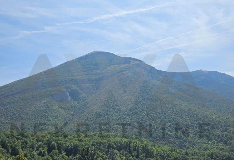 Ilino - Rtanj Poljoprivredno zemljiste u samom podnozju planine 14378m2