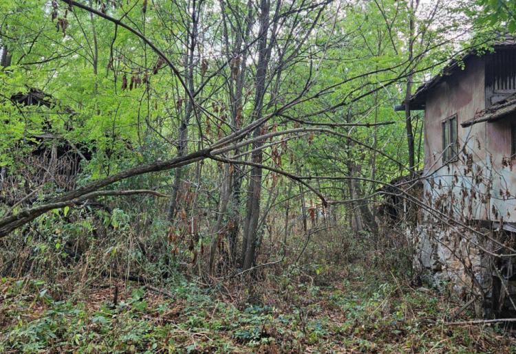 Ilino - Rtanj Kuca za rusenje ili adaptaciju na placu povrsine  od oko 20ari
