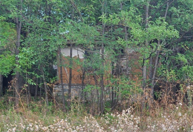 Ilino - Rtanj Kuca za rusenje ili adaptaciju na placu povrsine  od oko 20ari