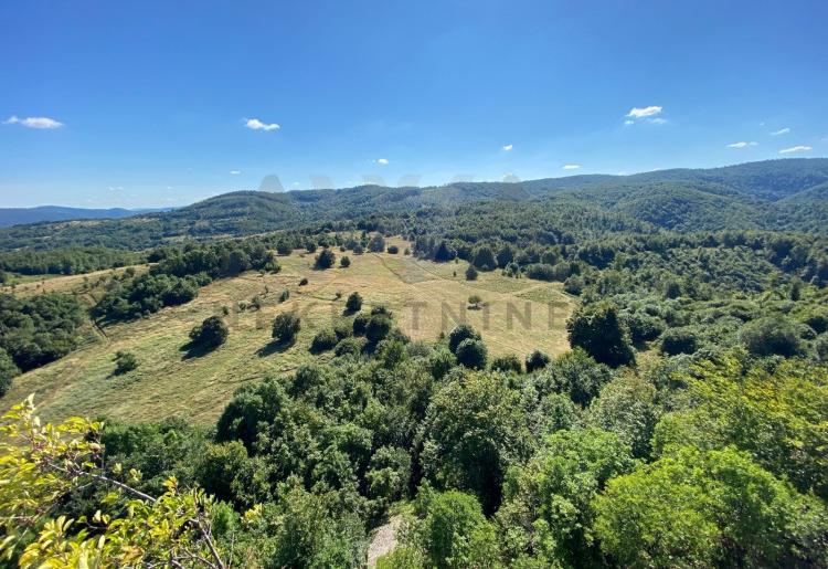 Juzni Kucaj-Kucajske planine-Brezovica   Zemljiste 12999m2 sa ucrtanim objektom 18m2