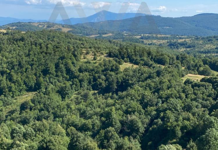 Juzni Kucaj-Kucajske planine-Brezovica   Zemljiste 12999m2 sa ucrtanim objektom 18m2