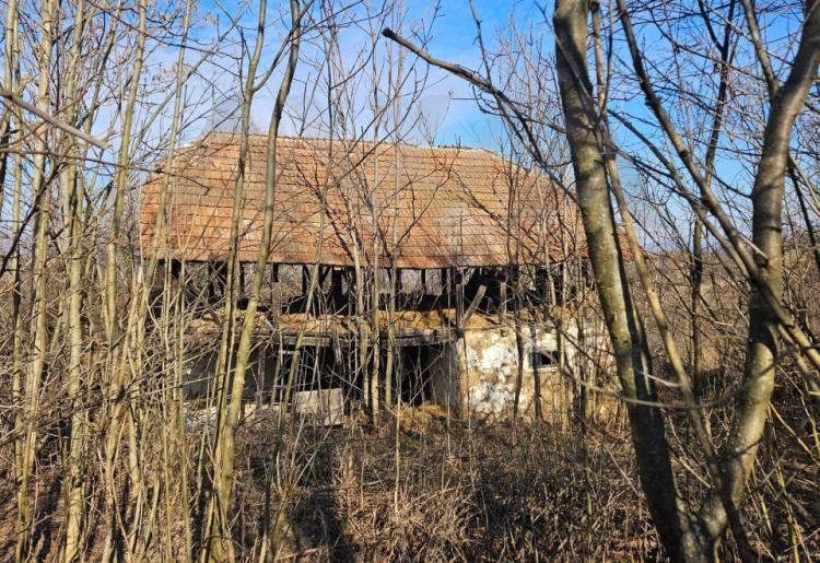 Valakonje - Boljevac , ucrtani objekti za rusenje 64m2- 47m2 sa oko 4,5ha zemljista u komadu 