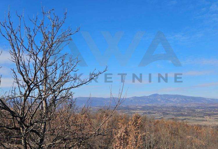 Valakonje - Boljevac , ucrtani objekti za rusenje 64m2- 47m2 sa oko 4,5ha zemljista u komadu 