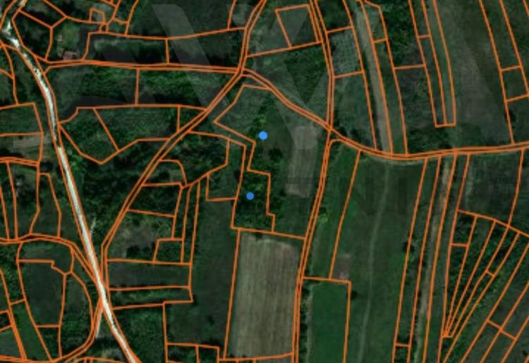 Mirovo - Boljevac  Poljoprivredno zemljiste 10200m2