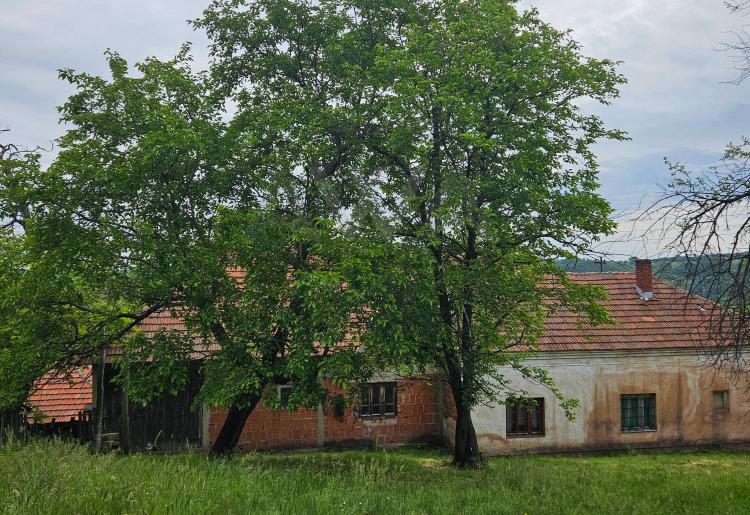 Osnić -Boljevac , Na kraj sela jedna kuća- seosko domaćinstvo sa oko 13,5hektara imanja 