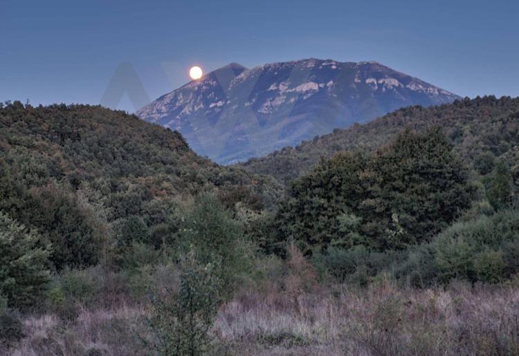 Jablanica - Boljevac   Poljoprivredno zemljiste ,dve parcele u jednoj celini povrsine 10128m2