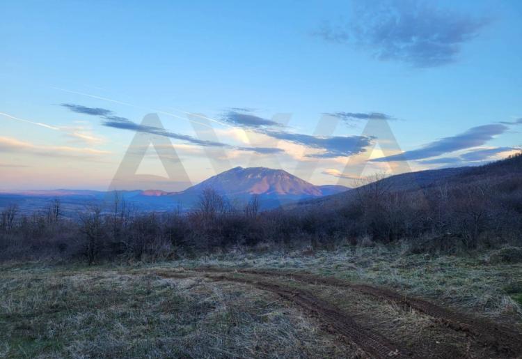 Jablanica - Boljevac   Poljoprivredno zemljiste ,dve parcele u jednoj celini povrsine 10128m2