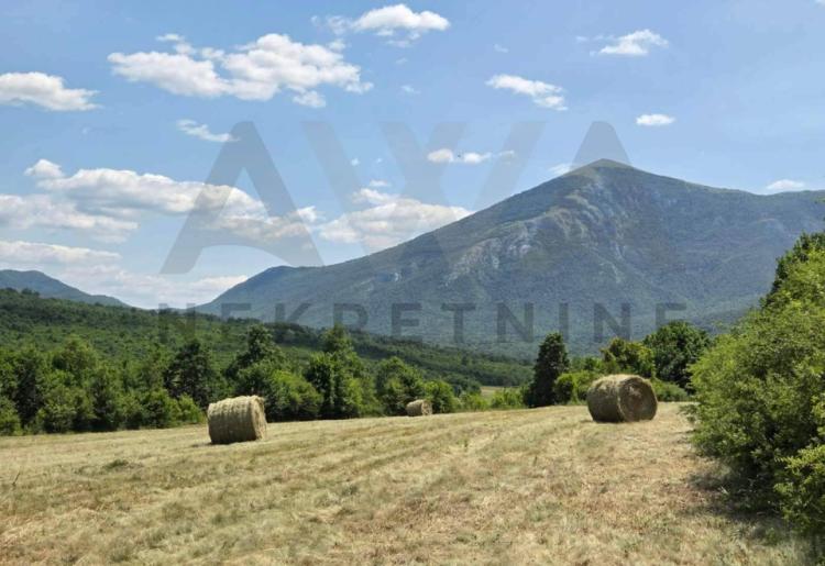 Jablanica - Boljevac   Poljoprivredno zemljiste ,dve parcele u jednoj celini povrsine 10128m2