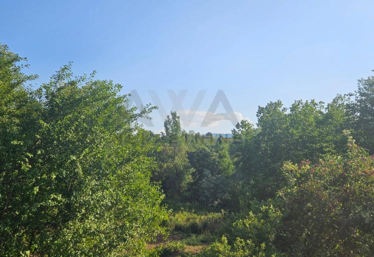 Boljevac - selo Boljevac Dve parcele u komadu povrsine 1341m2