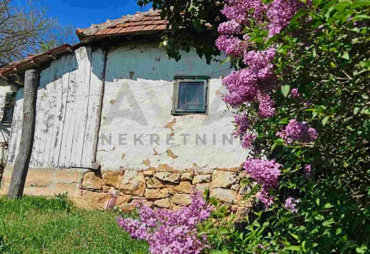 Bogovina-staroseosko domacinstvo sa oko 3ha zemljista u komadu (33568m2)
